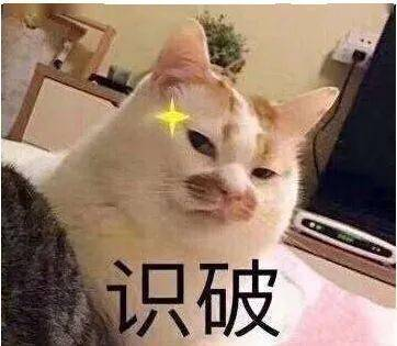 雷丁双语暑期班正式开课！